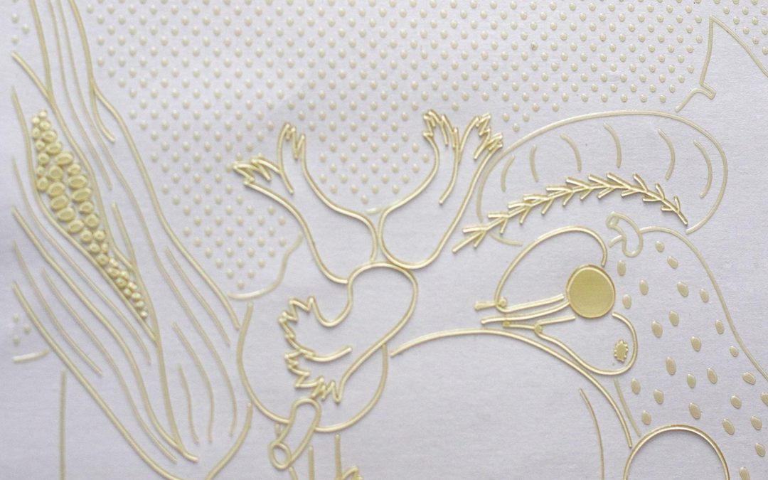 Gemeinsam anders sehen!