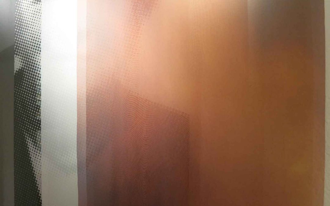 Die schwarze Gräfin